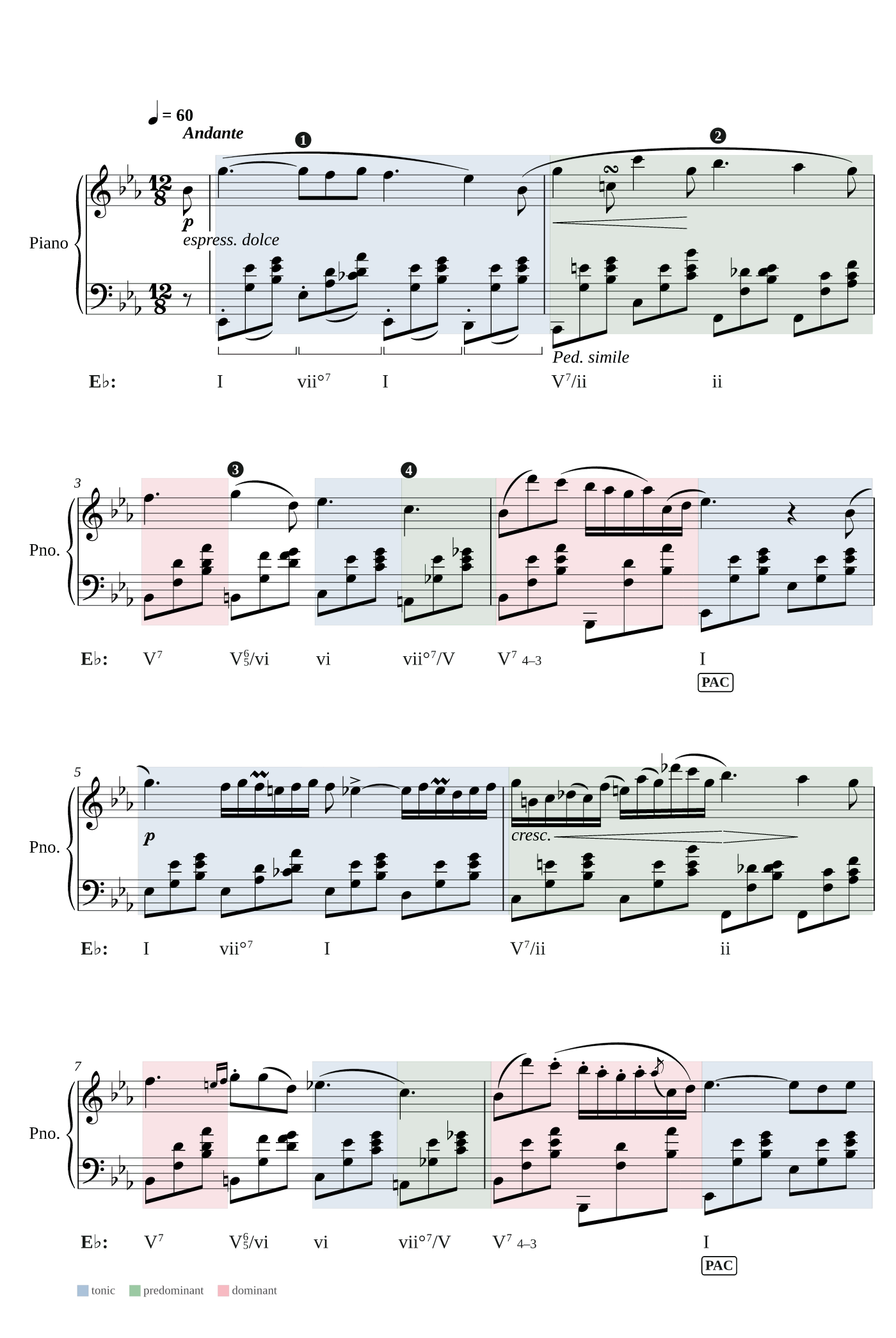 Harmony view: Roman numerals, function colours and cadences only.